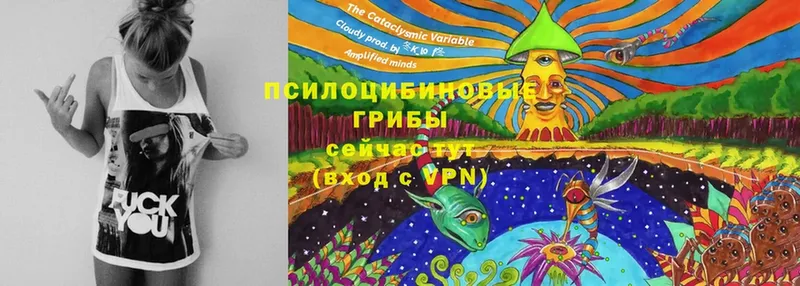 кракен зеркало  Феодосия  Псилоцибиновые грибы Cubensis 